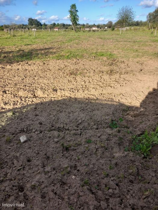 Terreno  Venda em São Miguel do Rio Torto e Rossio ao Sul do Tejo,Abra — São Miguel Do Rio Torto E Rossio Ao Sul Do Tejo, Santarém