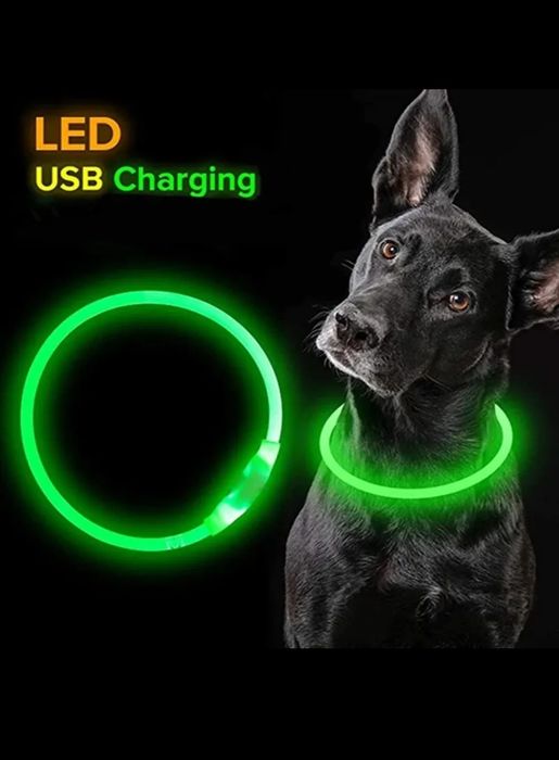 Coleira Led Green USB Charger - Ctt Grátis 48 Horas