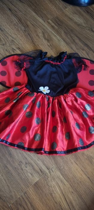 Biedronka strój karnawałowy kostium na bal przebierańców ladybug