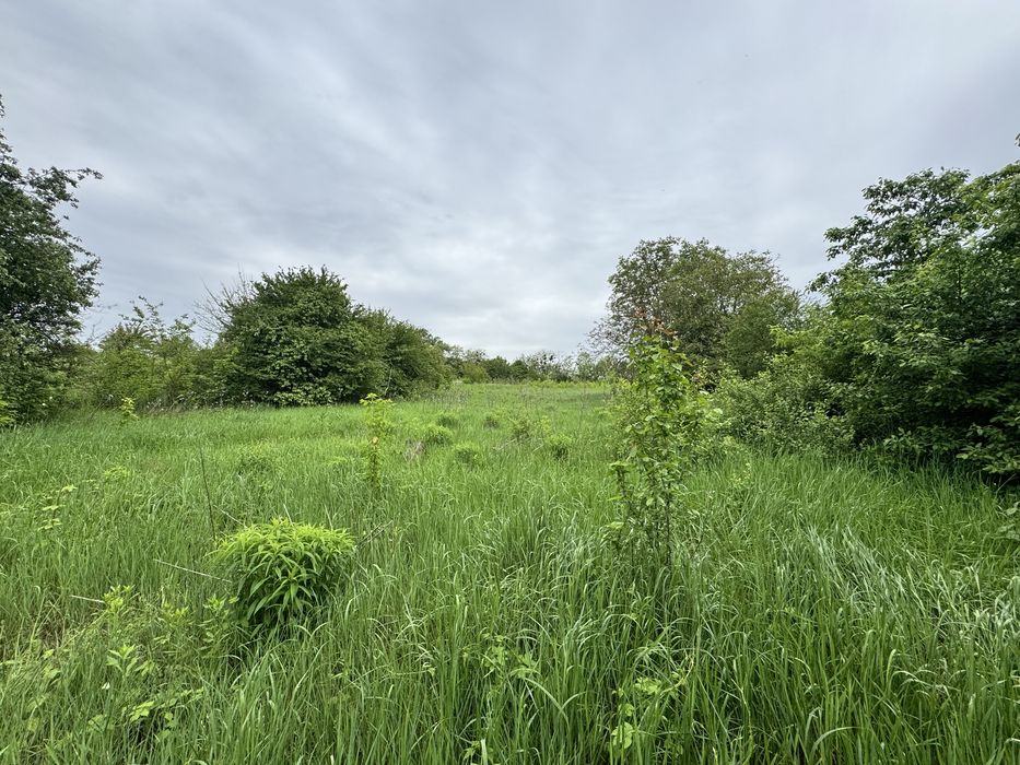 Продаж будинку з великою земельною ділянкою у Музичах