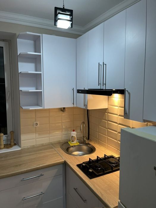 ПРИВАТНЕ ПОДВІРʼЯ+велика 1-на квартира з євроремонтом.Кухня,вбиральня.