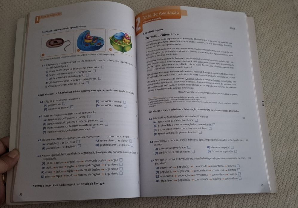 Boa Nota! - Preparação para os Testes - Vol. 1" (8.º Ano)