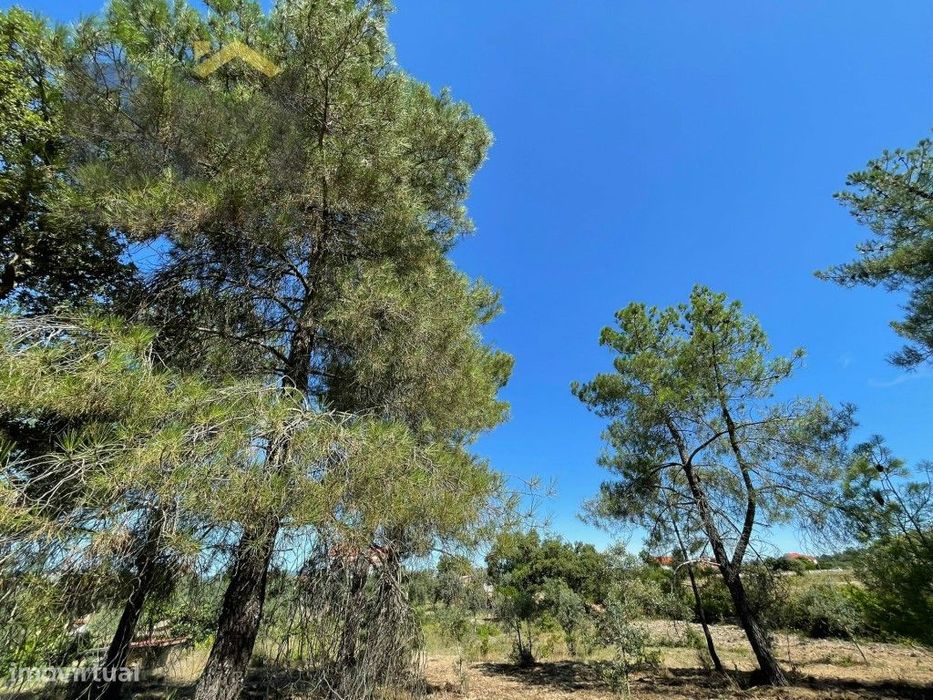 Terreno de 4000m² à Venda em Freixial do Campo