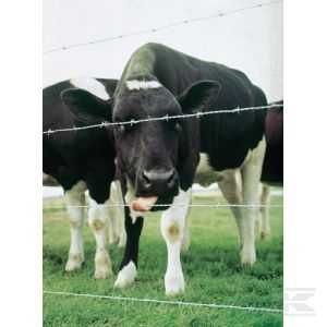 Drut kolczasty podwójny ocynkowany 1,7mm 100m