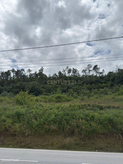 Terreno Urbano à venda em Alcobaça – Oportunidade única!