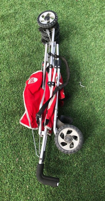 Carrinho da Pré Natal