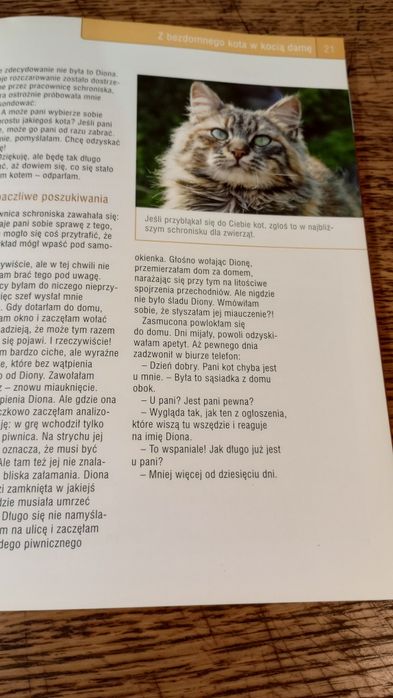 Kot w domu. Angelika Juritsch
