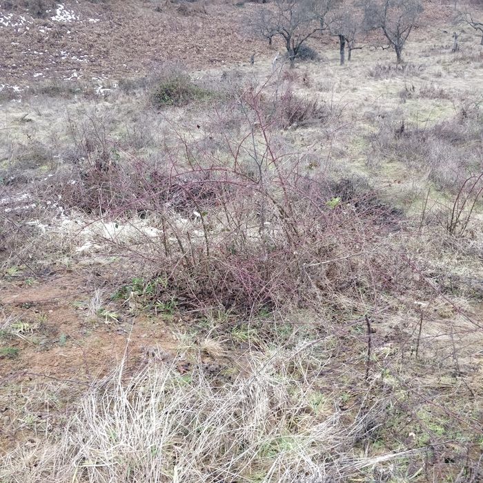 Продається земля 14 соток