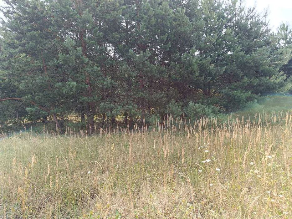 Продаж земельної ділянки під забудову