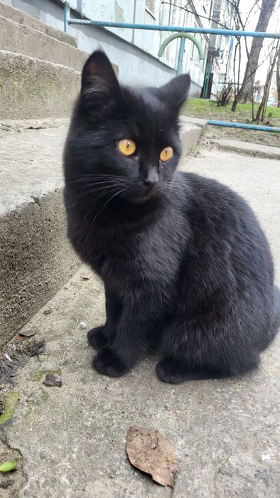 Девочка.4 - 4.5 месяца