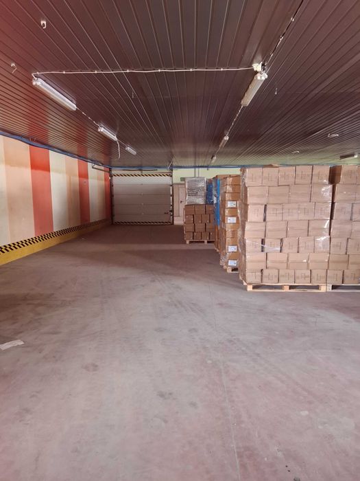 Hala magazynowa 1400 m² | S8 | rampy | duży plac TIR | Piotrków