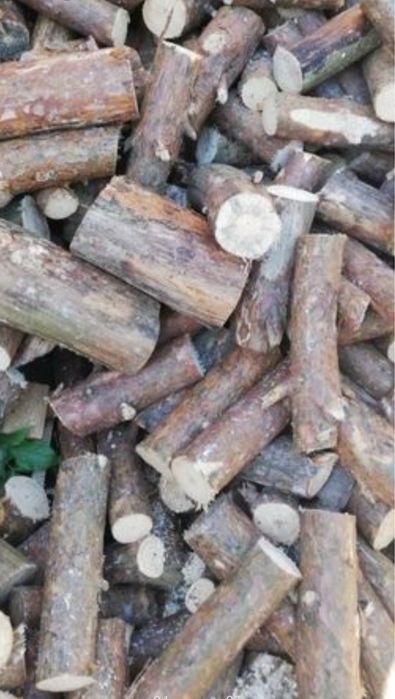 Suche Drewno kominkowe galeziówka tani transport