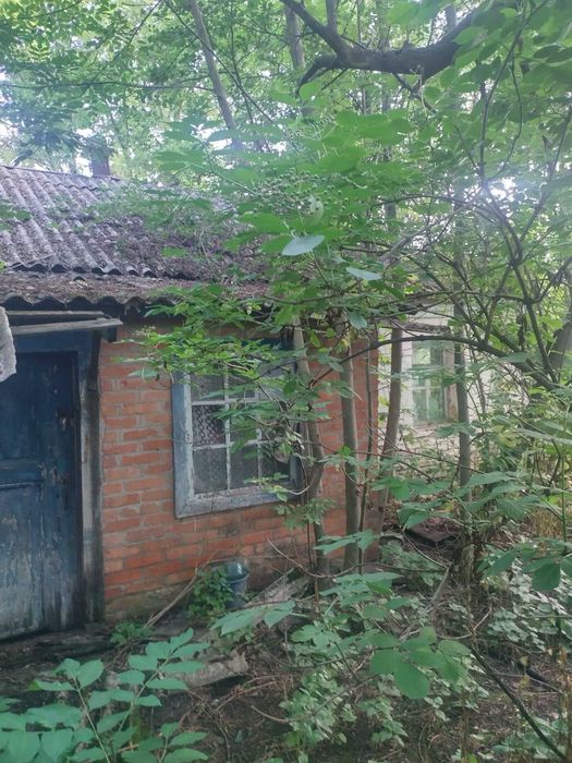 Будинок ,Сумська область ,Роменський район,Село ,Овлаші. Приватизована земельна ділянка 25 соток.