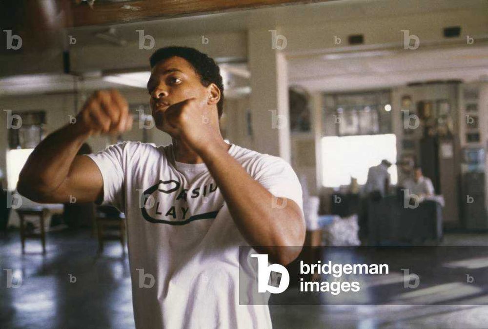 ALI (Michael Mann) Will Smith/Jamie Foxx/Jon Voight/Jada Pinkett Smith