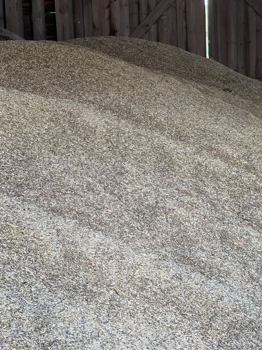 Sprzedam Owies ekologiczny żyto pszenżyto