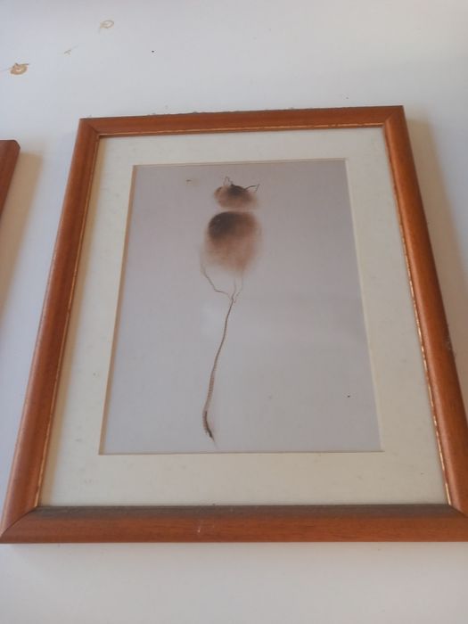 Pine Honey Frames.