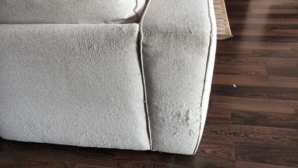 Sofá de canto bege, gato preto