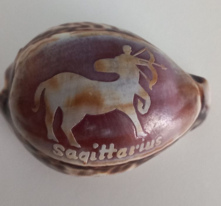 Búzio signo Sagitário