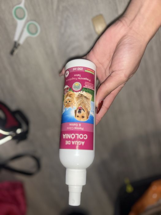 Kit Completo de Acessórios para Gato – Ótimo Estado