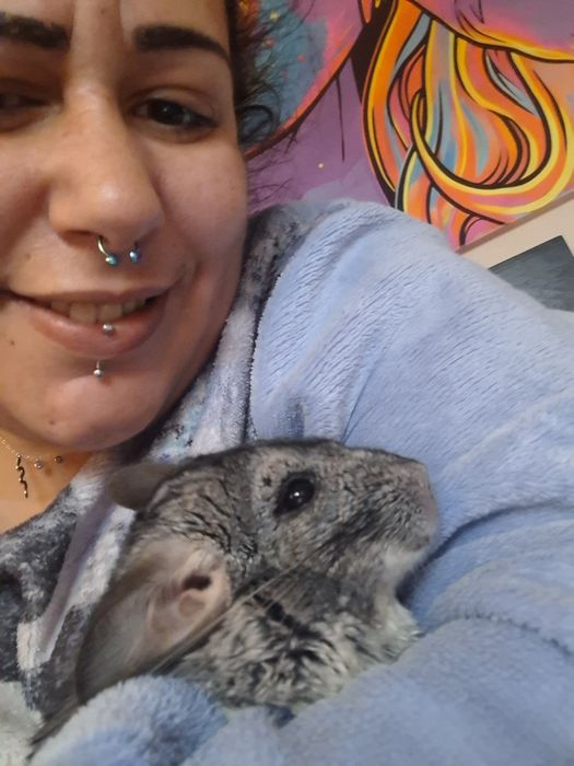 Cuido dos seus animais484760408588308485