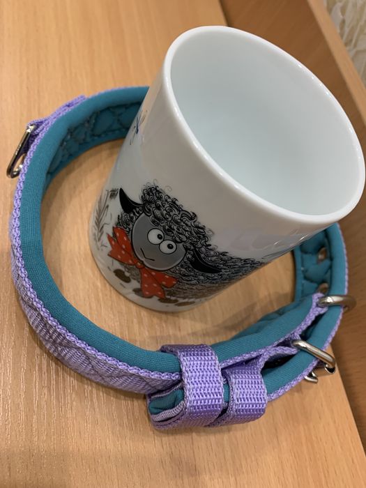 Ошейник и поводок в комплекте