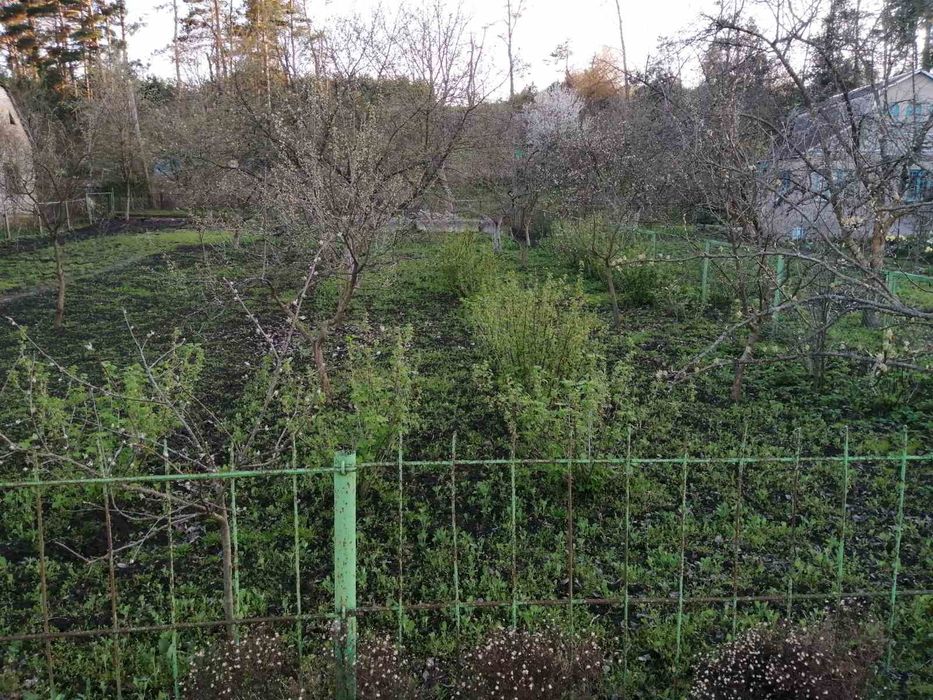 Продам дачну ділянку