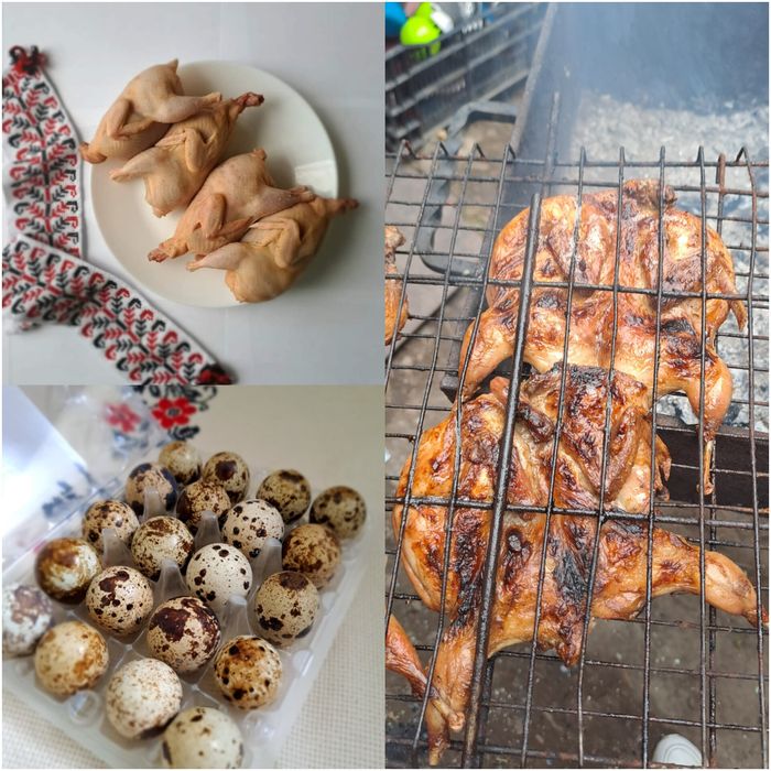 Тушки перепелів, м'ясо перепелів