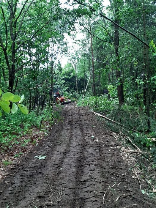 Mulczer lesny mulczowanie drzew czyszczenie dzialek terenu wycinka