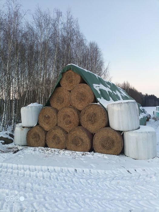 Sprzedam słomę w belach