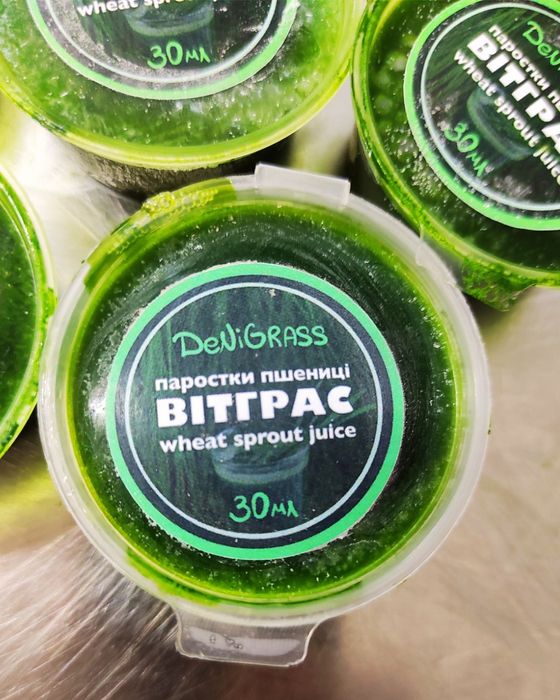 Сік з мікрозелені пшениці Вітграс живий, 70% хлорофіл, Дніпро