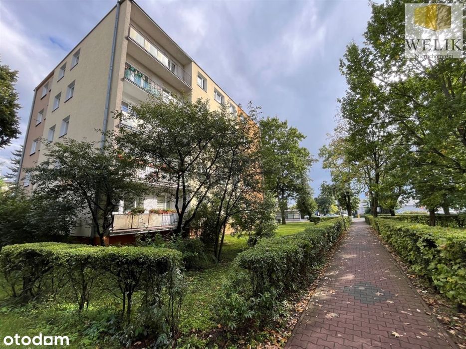 Mieszkanie, Biała Podlaska - Widok 2