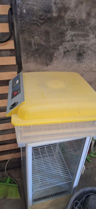 Vários itens em perfeito estado de conservação