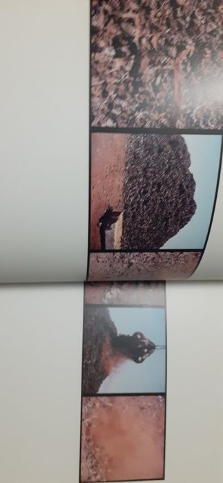 Catálogo fotografia André cepeda