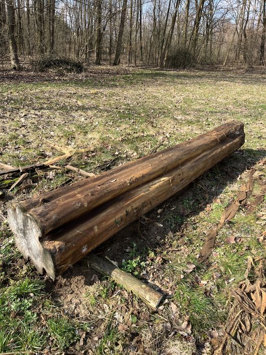 Akacja w klocku pod meble