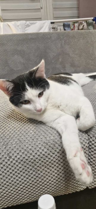 W domu tymczasowym dostałem ksywę Księgowy