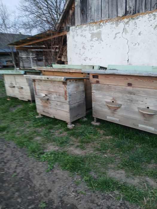 Вулики.пасіка.вулики бу.