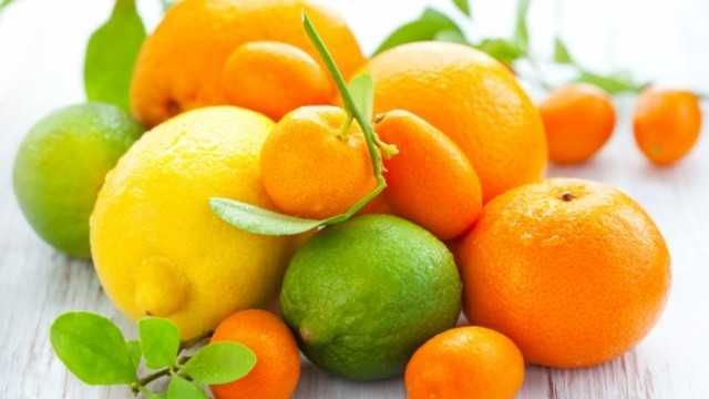 Citrinos Enxertados (Limoeiros, Laranjeiras