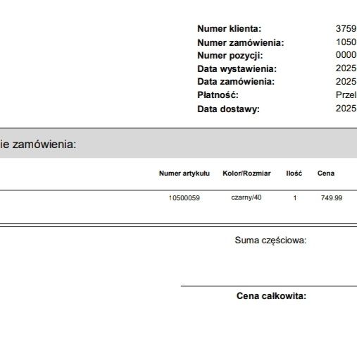 Buty Nike Shox TL 40 orginał