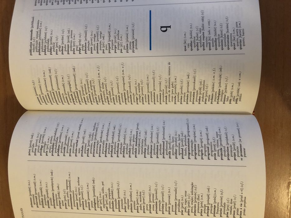 Dicionário multilingue(readers digest)