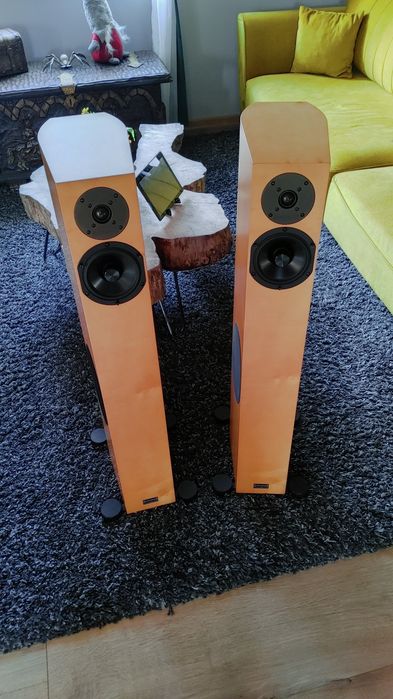 Audio Physic Tempo 6