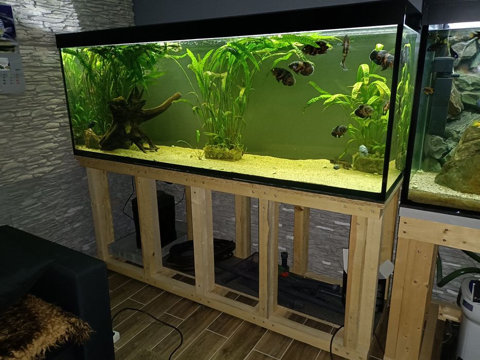 Akwarium 840 L stan bdb full opcja