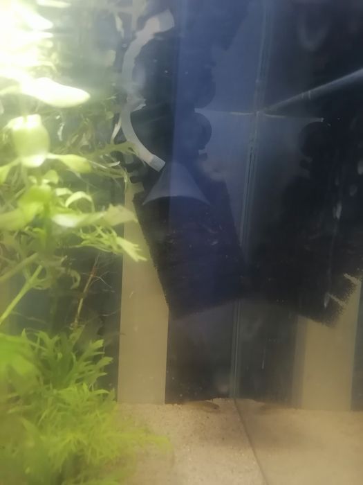 Akwarium kostka z lampa