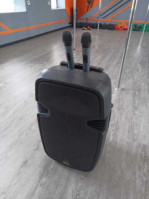 Потужна автономна колонка + 2 мікрофони (Bluetooth/FM/MP3)