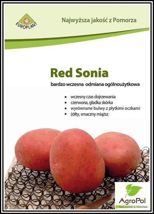 Ziemniak Sadzeniak RED SONIA - Sadzeniaki Europlant Czerwone ziemniaki