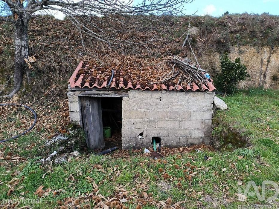 Quinta T5 em João Antão de 228,00 m2