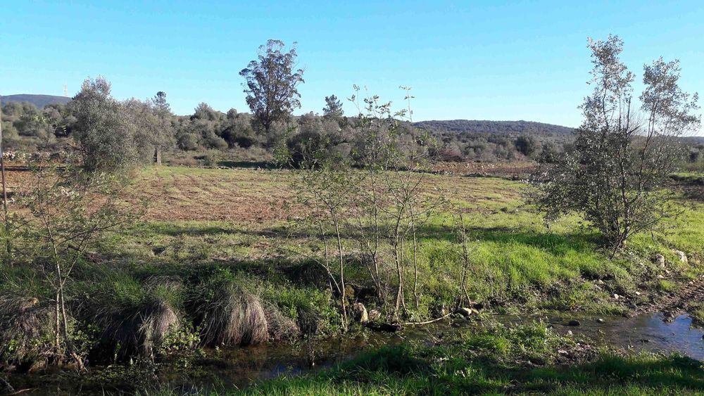 Vende-se terreno Rústico