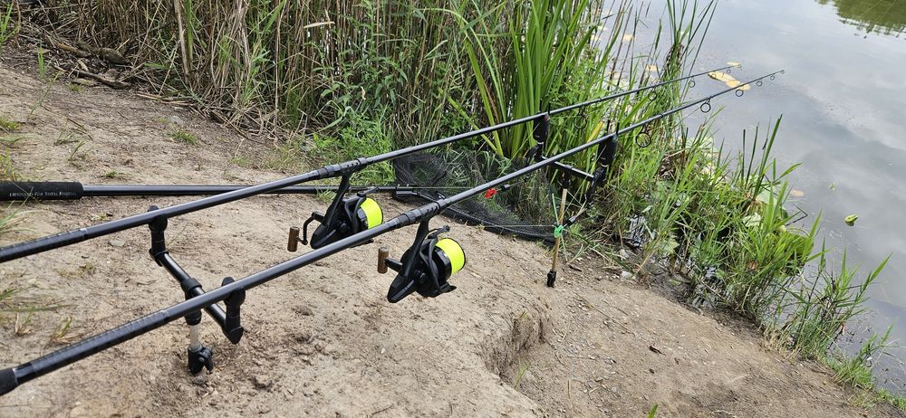 Karpiowki delphin paranoya /okuma 8k