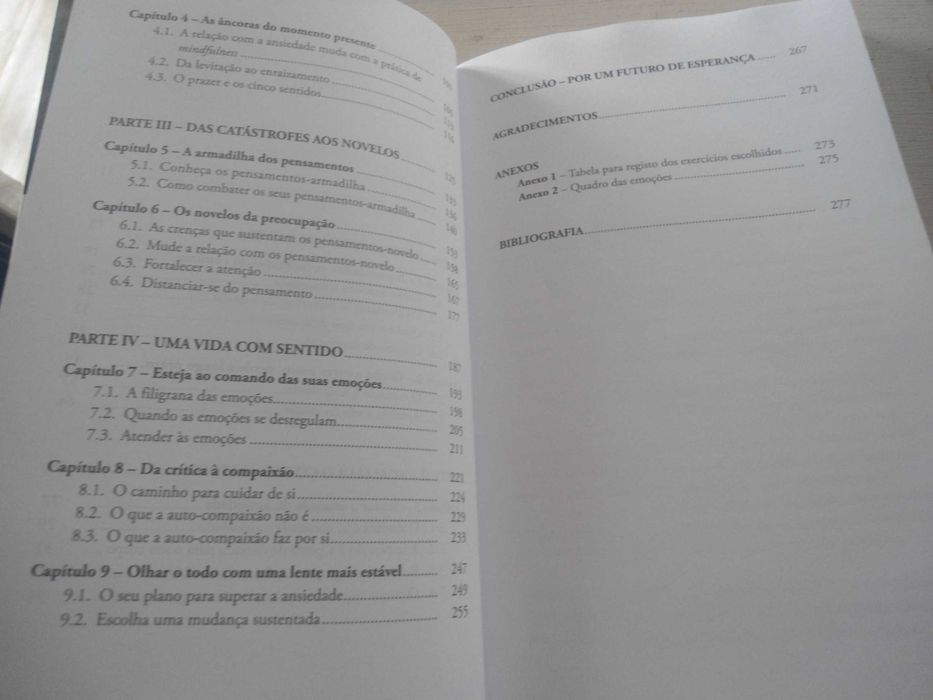 Superar a Ansiedade - Um manual para conquistar uma vida calma