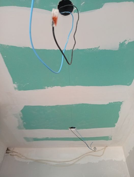 Ofereço mão de obra em troca de animais final de semana