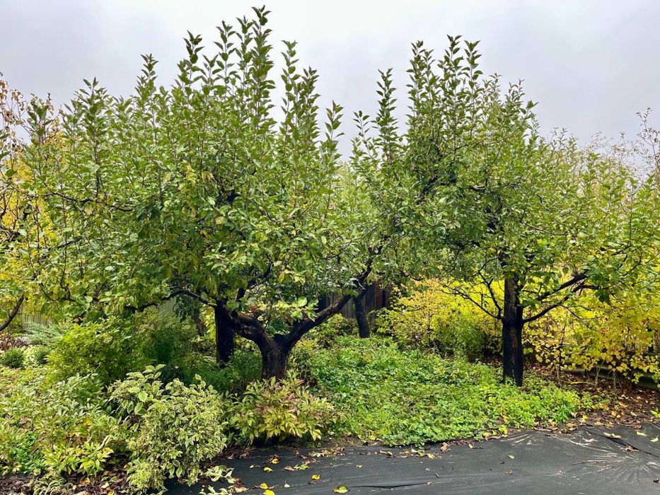 Будинок 70 м² 5 соток Любимівка Бузова житомирська траса 15км до Київ